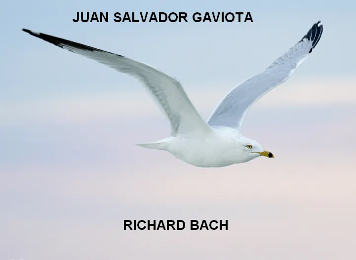 AUDIOLIBROS GRATIS: Juan Salvador Gaviota - Richard Bach