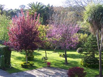 Aula de CC.SS. 1: PAISAJE DE PRIMAVERA