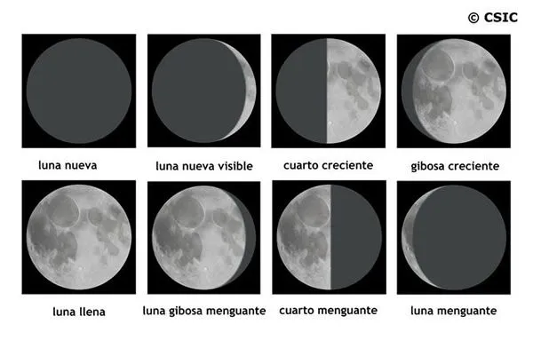 Aula de Infantil y 1º de Primaria de Viguera: ¿CÓMO ESTÁ HOY LA LUNA?