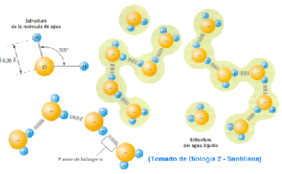 Aula Virtual de Biología