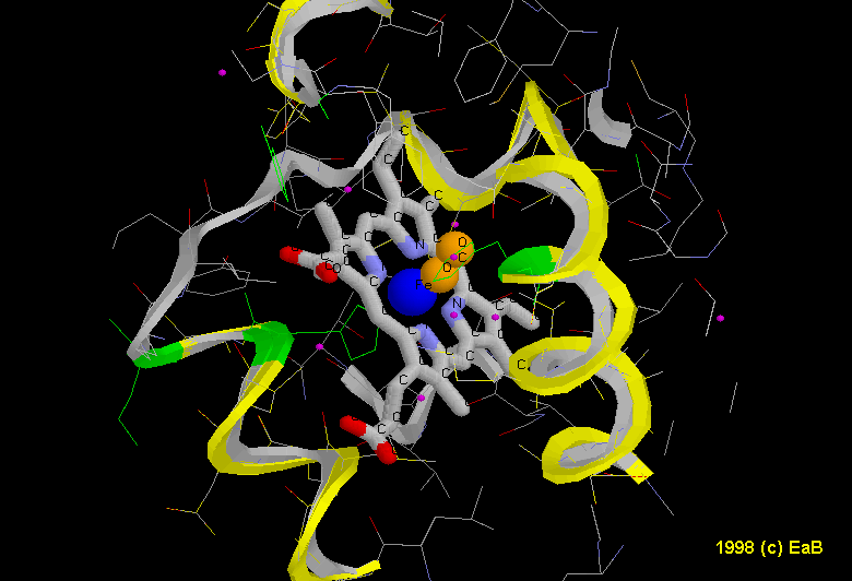Aula Virtual de Biología