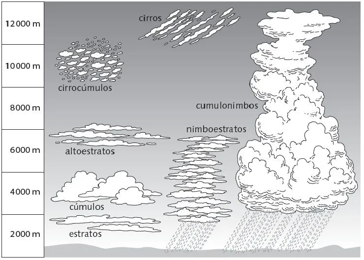 Autoevaluación 1º ESO | La pizarra de la ciencia