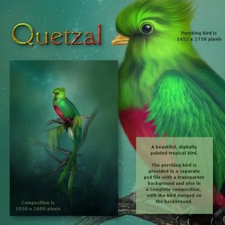 5 de septiembre Día del Quetzal ave nacional de Guatemala ...