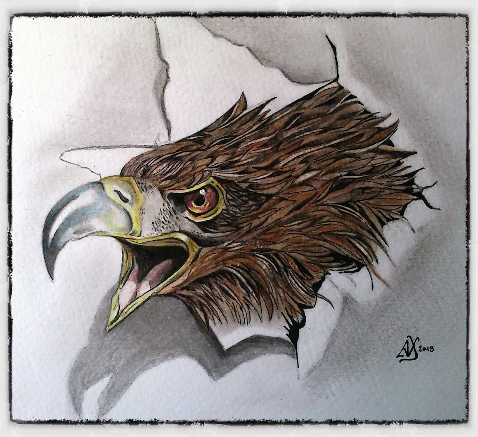 AVES | alexdrawings