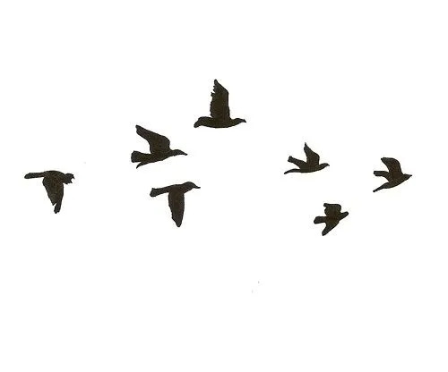 Pájaros volando tumblr - Imagui