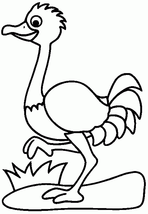 Dibujos para imprimir y colorear: Avestruz para colorear