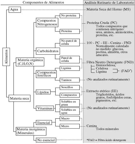 Avibert: Composición Química Centesimal Aproximada por Claudia ...