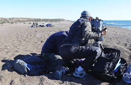 Avistaje de Ballenas Península Valdés Patagonia Argentina Whale ...