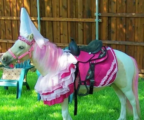 Awwww, My Little Pony...