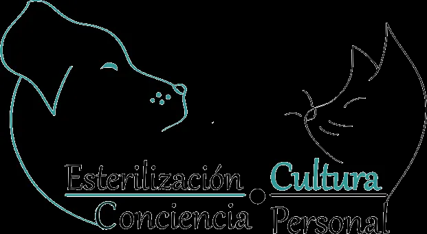 Aymara Rodriguez - Videos - Google+