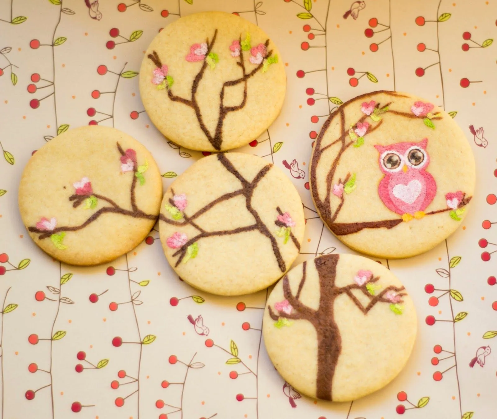 Azúcar galletas y muchas cosas bonitas: Buhos, la experiencia de ...