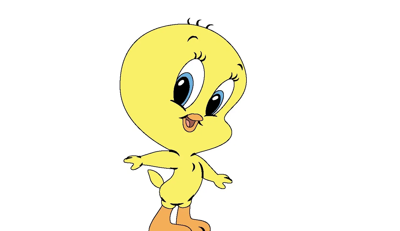 baby looney tunes tweety! - The Old Cartoonetwork Photo (29903976 ...