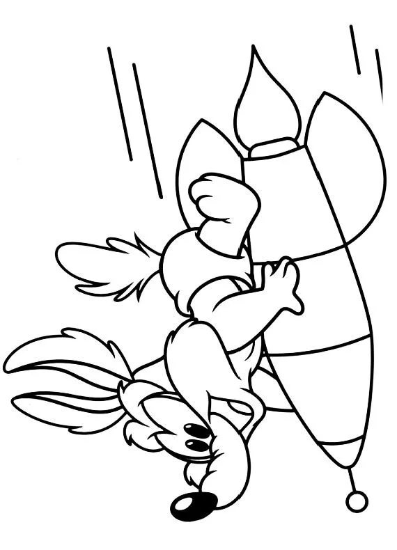 baby coyote Colouring Pages