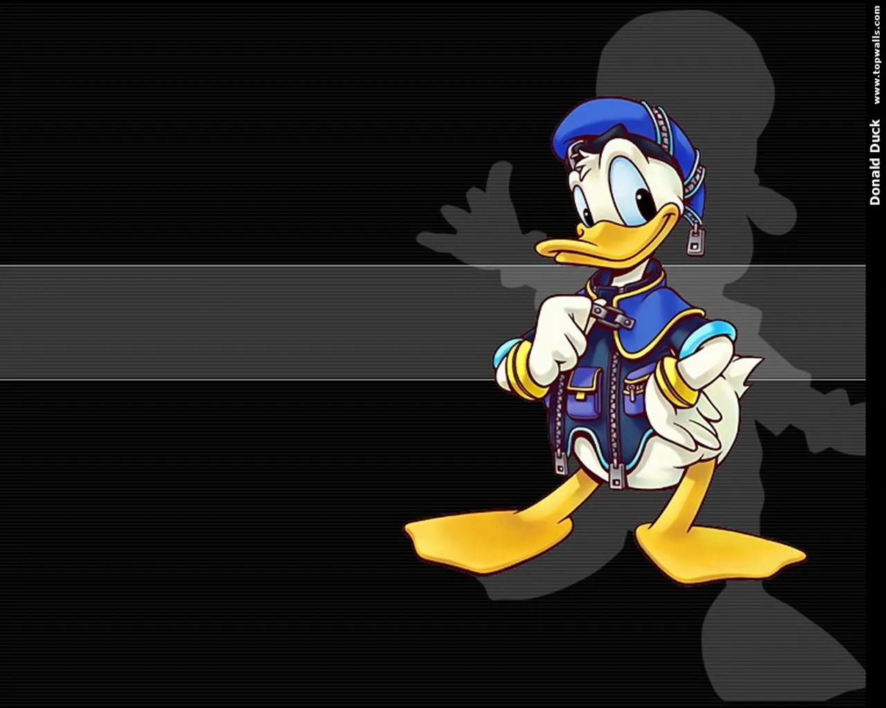 ,Background Wallpapers, Amazing Wallpapers, 3D Wallpaper: Donald ...