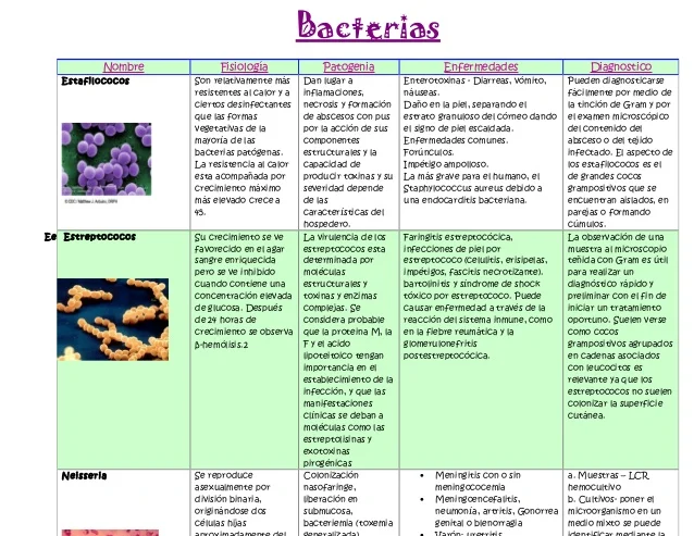 Bacterias cuadro completo