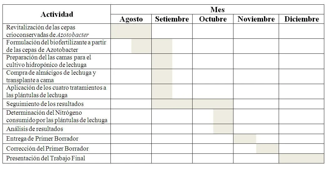 Bacterias Fijadoras de Nitrógeno en Costa Rica