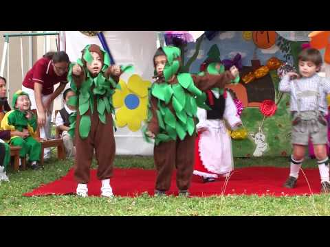 BAILE DEL ÁRBOL SABIO JULIO 2011 - YouTube