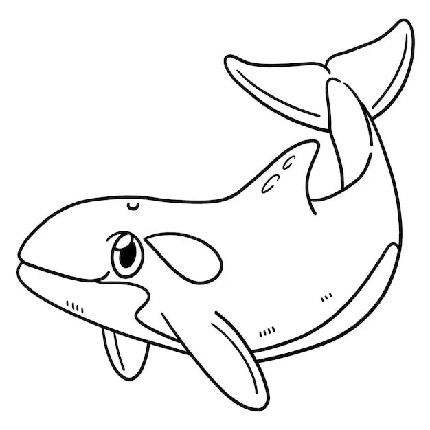 Ballena asesina aislada página para colorear para niños | Vector Premium