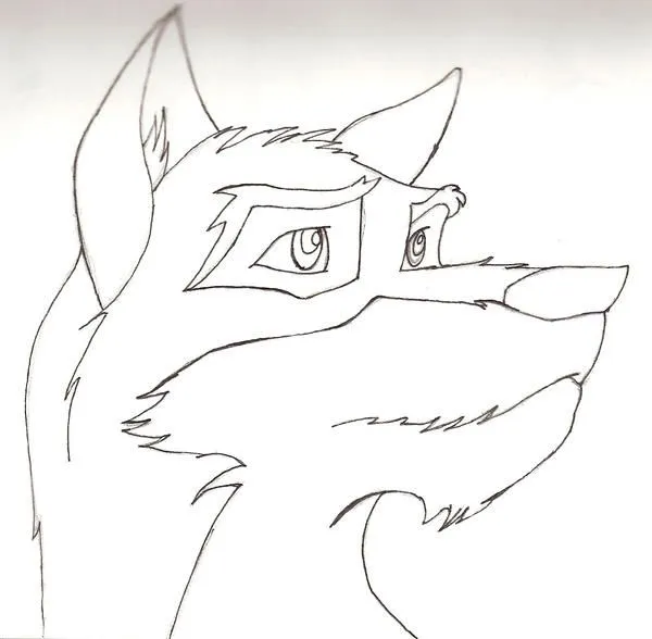 Balto Wolf Coloring Pages Printable Crokky Coloring Pages