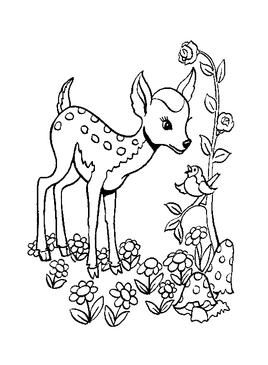 Bambi para colorear - Imagui