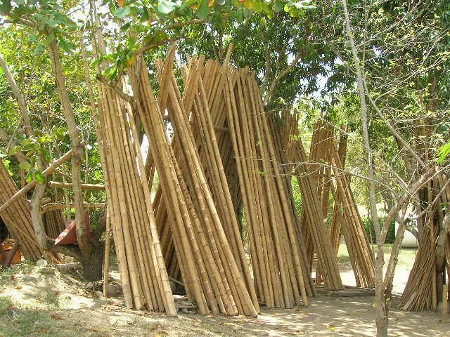 BAMBU, GUADUA. CASAS con diseños biclimáticos y vanguardistas: LA ...