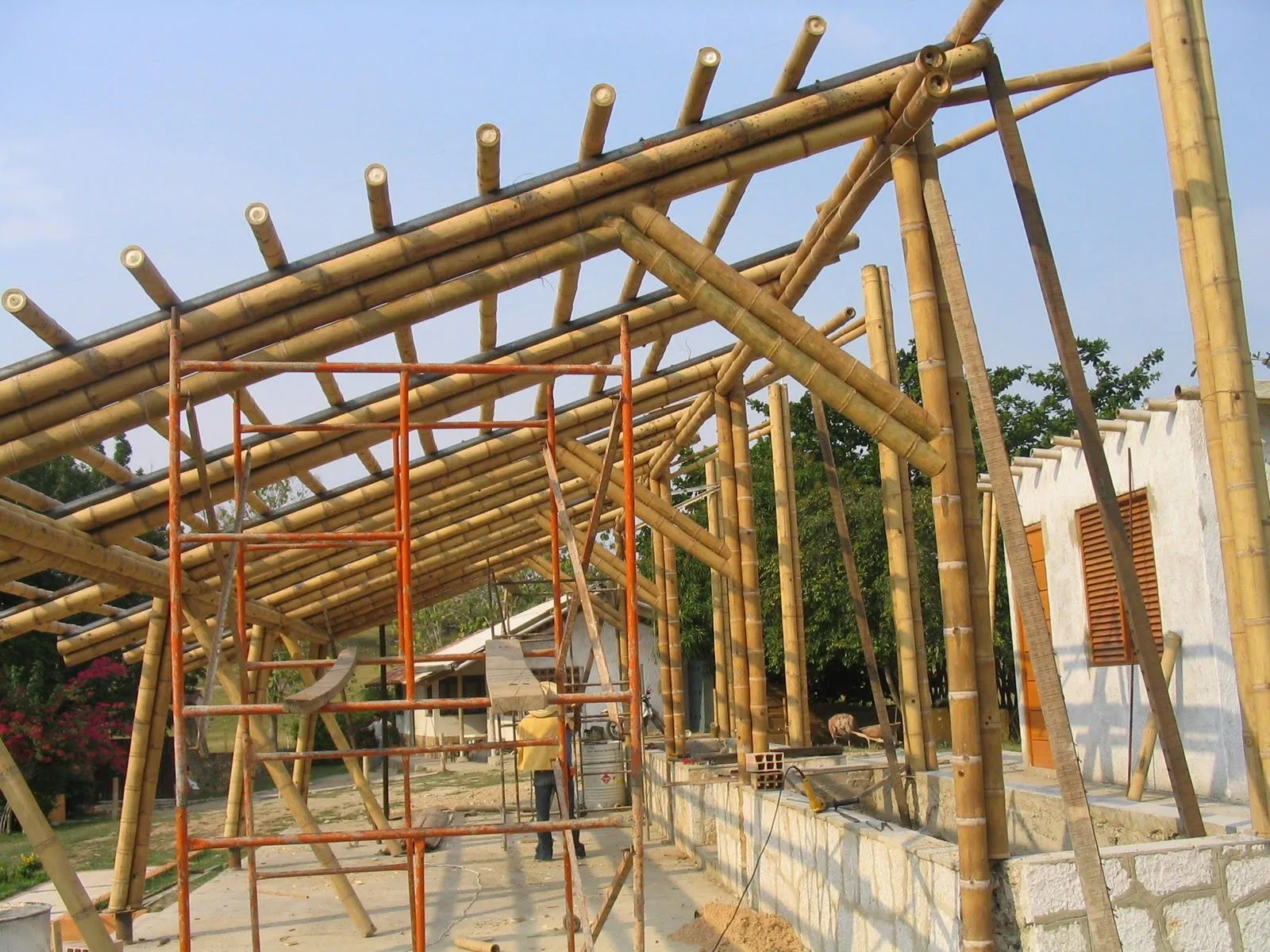 BAMBU, GUADUA. CASAS con diseños biclimáticos y vanguardistas: LA ...