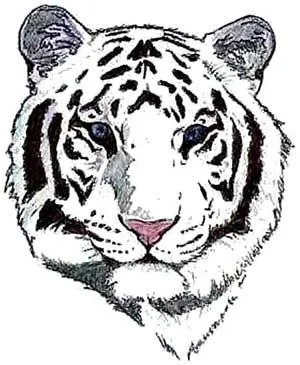 Cara de tigre para colorear - Imagui