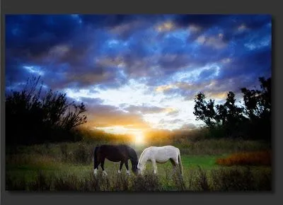 Banco de Fotos gratis: Paisaje con caballos