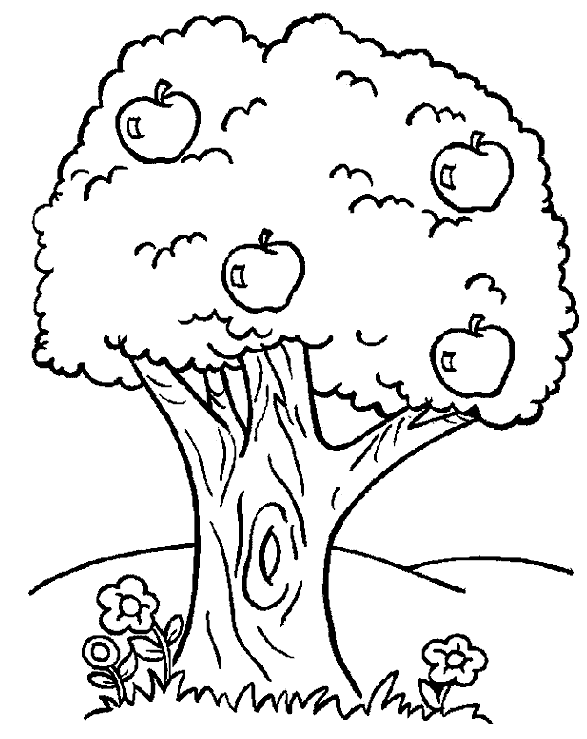 Banco de Imagenes y fotos gratis: Dibujos de Arboles para Colorear ...