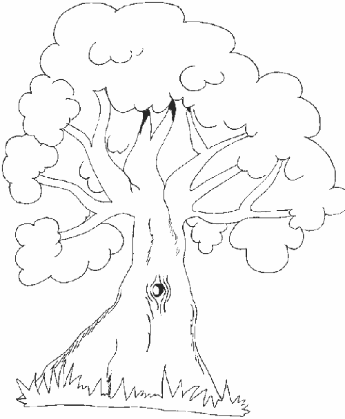 Banco de Imagenes y fotos gratis: Dibujos de Arboles para Colorear ...