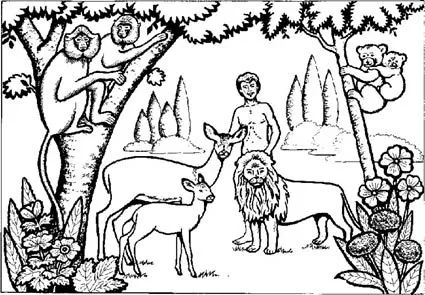 BANCO DE IMÁGENES. WWW.CAFAALFONSO.FREEVAR.COM.CREACIÓN