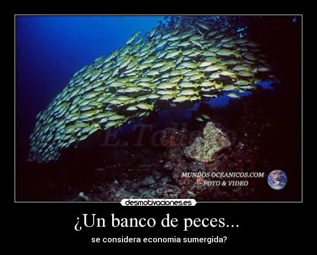 Un banco de peces... | Desmotivaciones