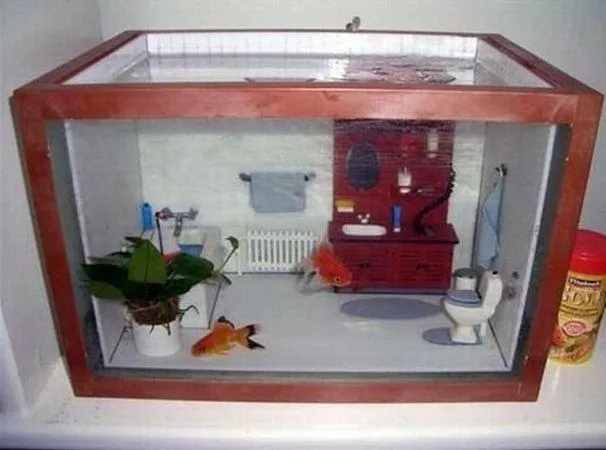 Baño para peces