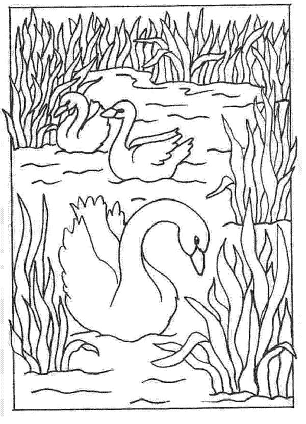 barbie lago de los cisnes Colouring Pages