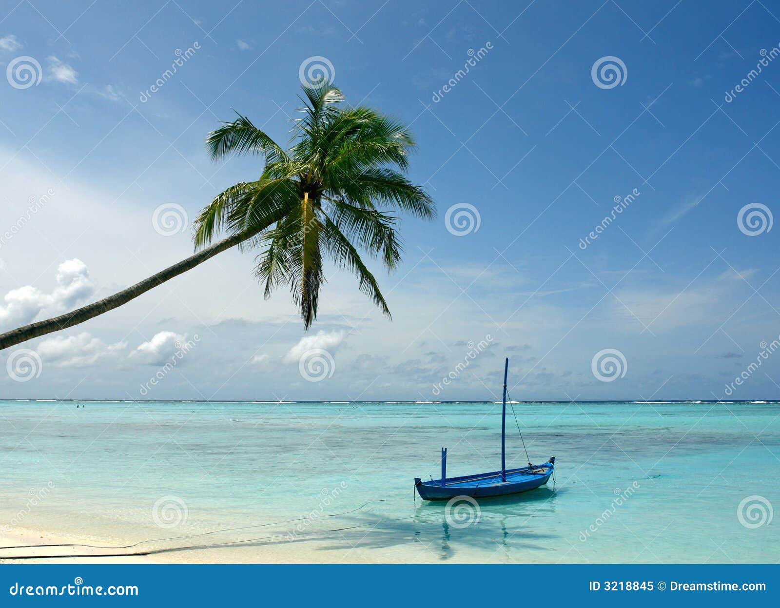 Barco Y Palmera En La Playa Foto de archivo libre de regalías ...