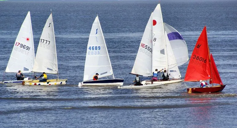 barcos de vela ligera sus clases y categorías