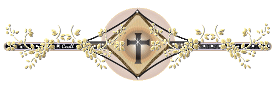 Barras y separadores: Barras y separadores de cruz