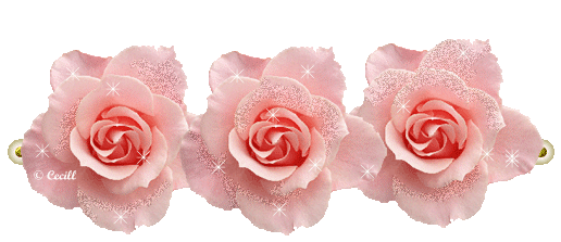 barras+de+rosas+hermosas+para+ ...