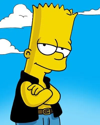 bart drsnak