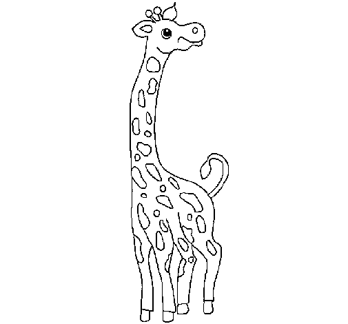 Baú da Web: Desenhos de girafas para colorir