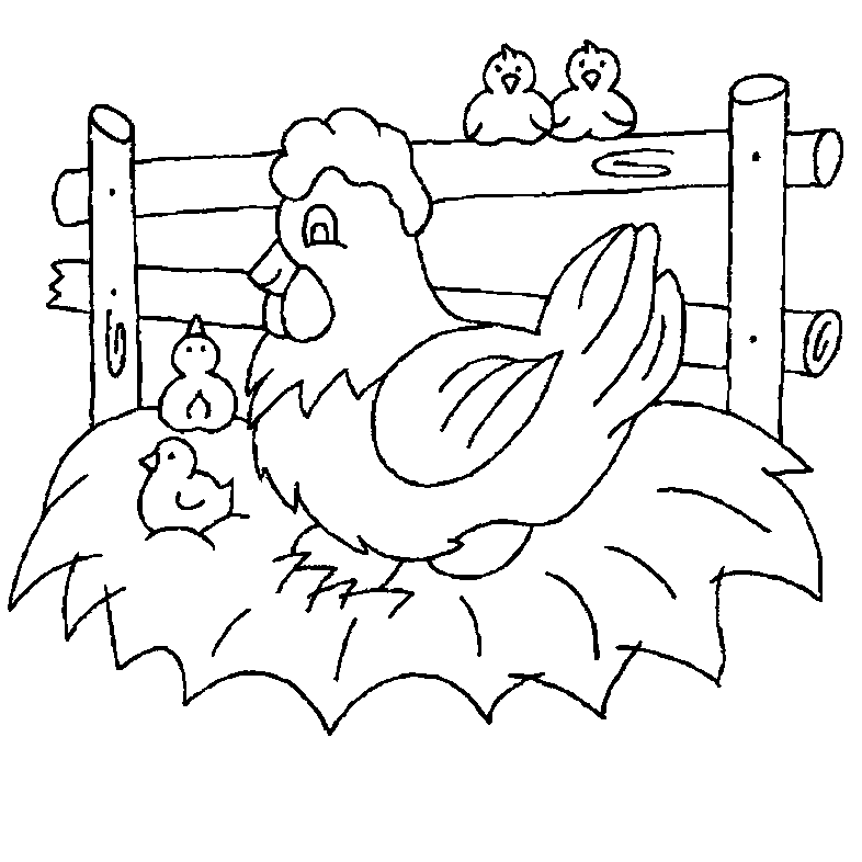 BAÚL DE COLOREAR: Colorear dibujos Gallinas con pollitos