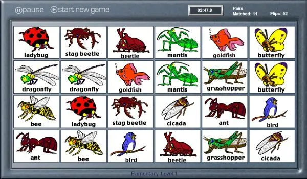 EL BAÚL DE INNELA: Aprendemos nombres de insectos en inglés