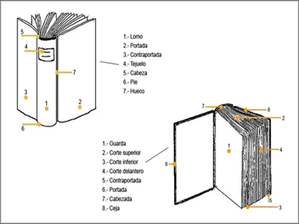 Baúl Manualidades: PARTES DE UN LIBRO