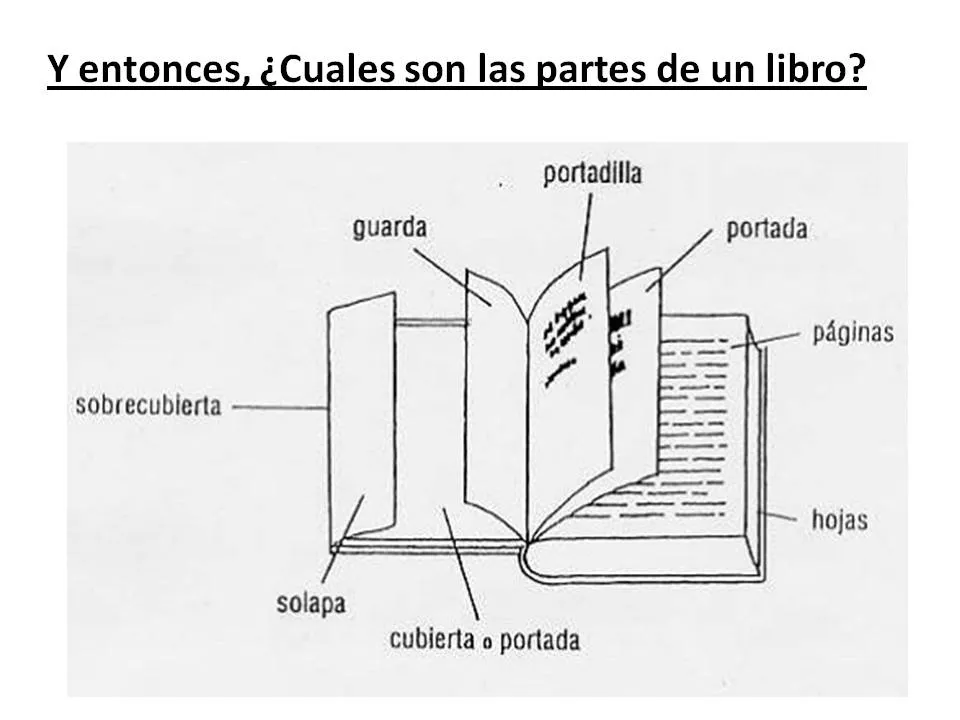 Baúl Manualidades: PARTES DE UN LIBRO