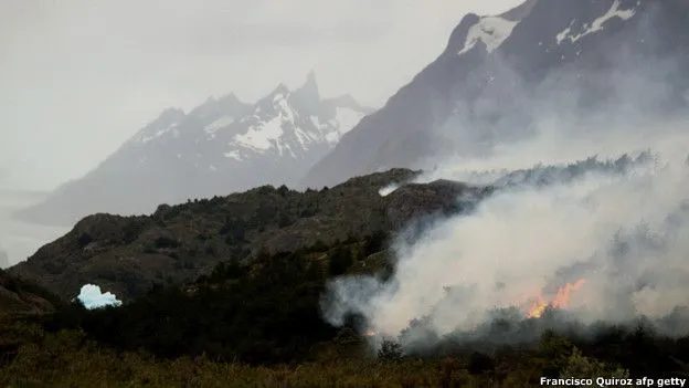 BBC Mundo - Noticias - El impacto ecológico del incendio de la ...