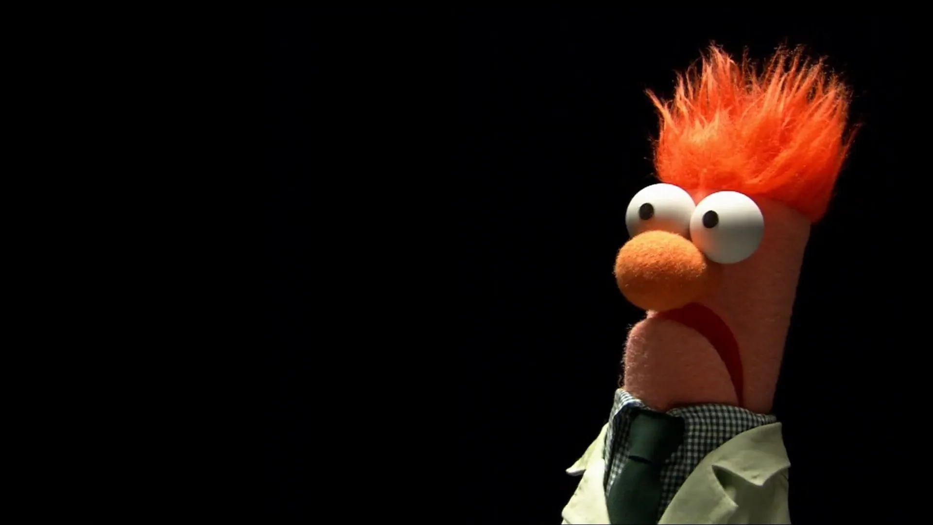 beaker muppets HD Wallpaper - General (#