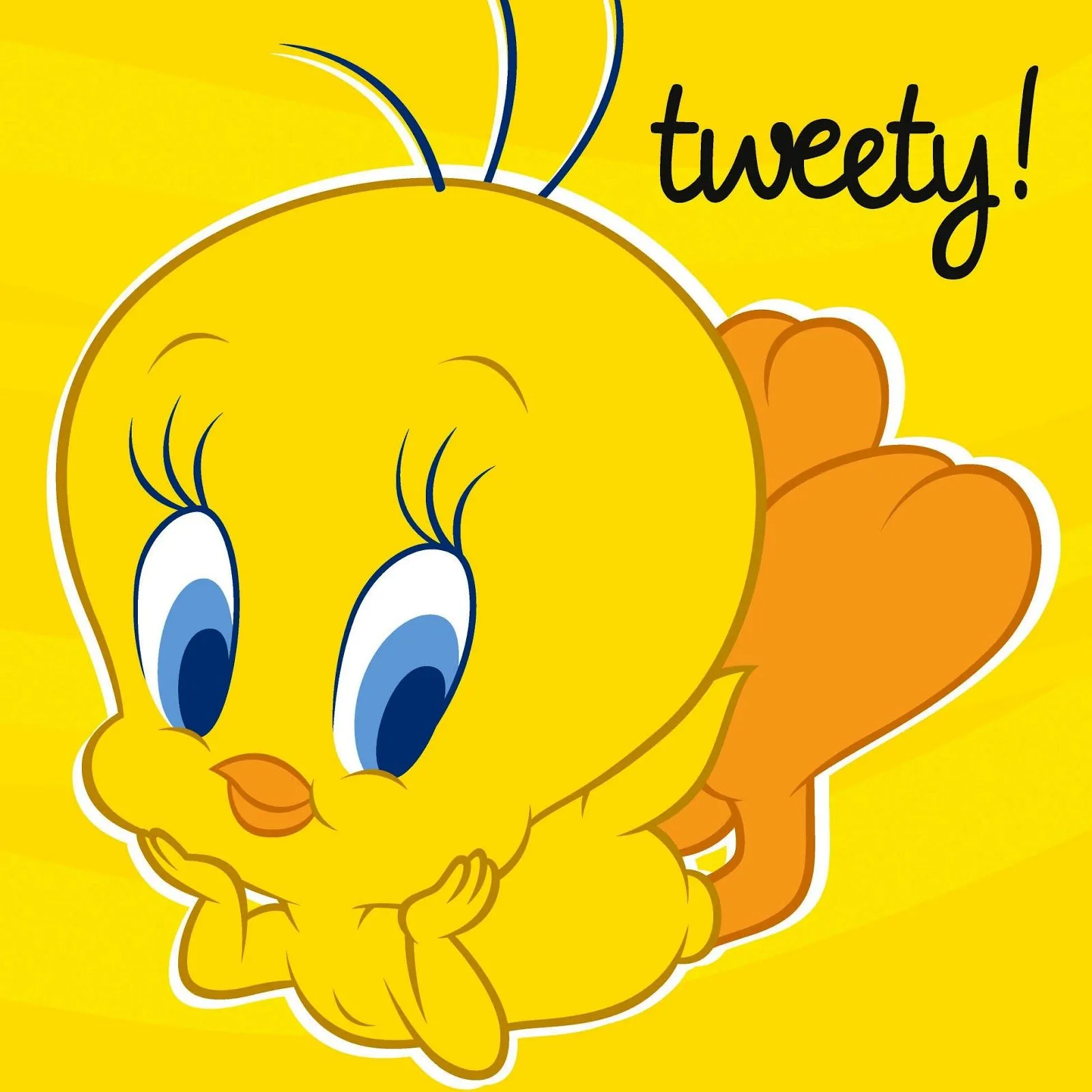 Beautiful Wallpapers: tweety wallpaper