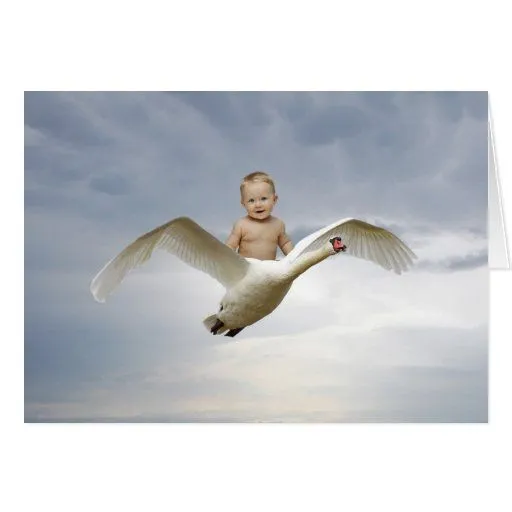 un_bebe_y_el_cielo_del_cisne_ ...