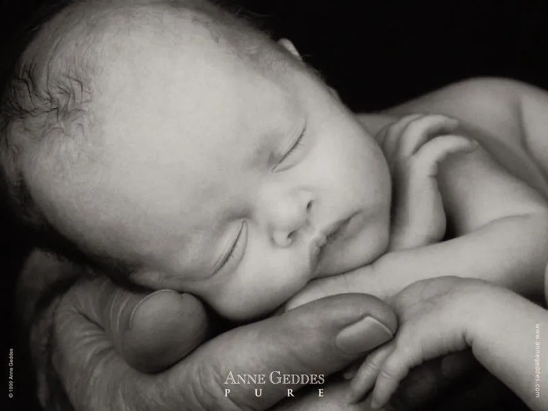 Bébé dans la main - Photo de Anne Geddes - L'univers de Katy