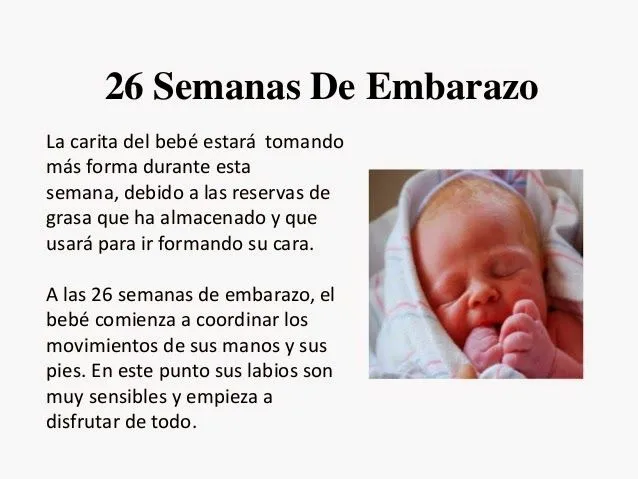 Mi bebé no duerme: Así crece el bebé: semana 23 a 26 de embarazo